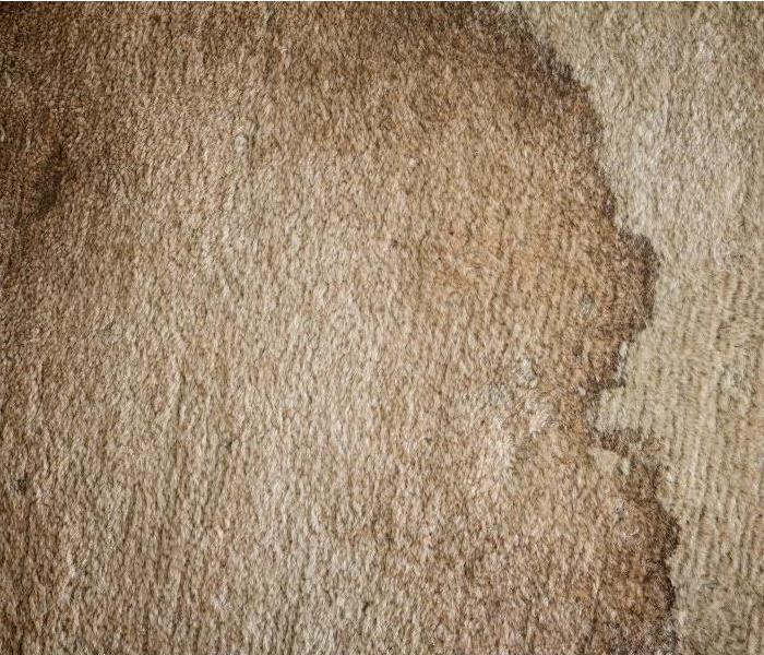 a dark brown section of carpet showing signs of water damage